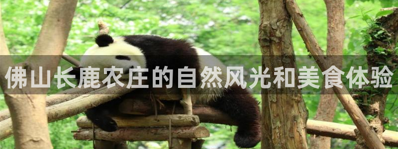 天辰娱乐 主管