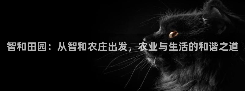 天辰娱乐44616