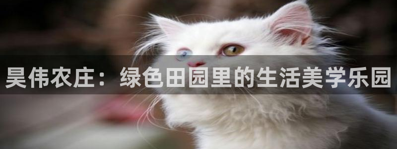 天辰娱乐软件