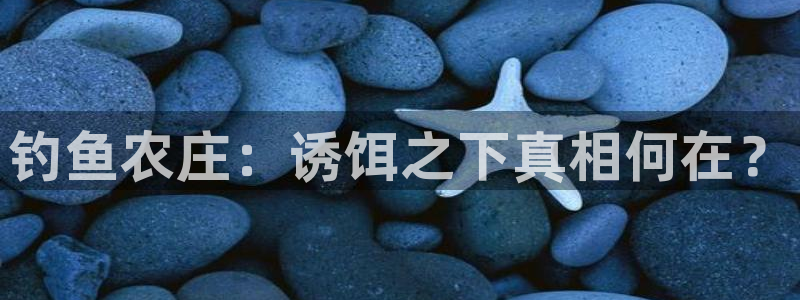 天辰娱乐游戏