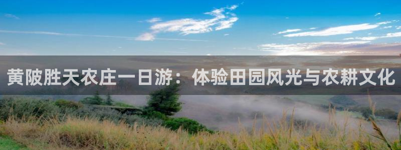 天辰娱乐游客