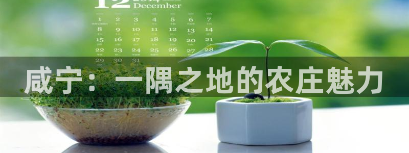 天辰平台娱乐