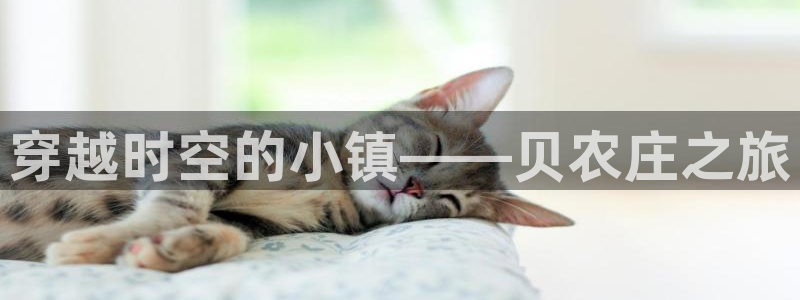 天辰娱乐 首选
