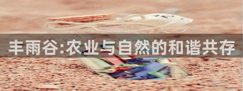天辰娱乐公司