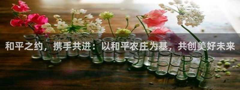 天辰娱乐厕所