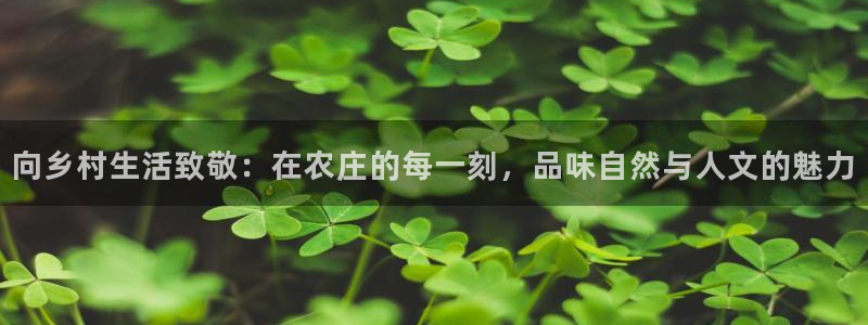 天辰娱乐解封
