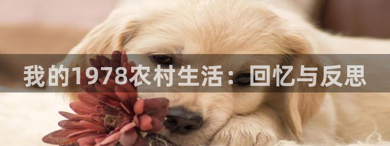 天辰娱乐ttf