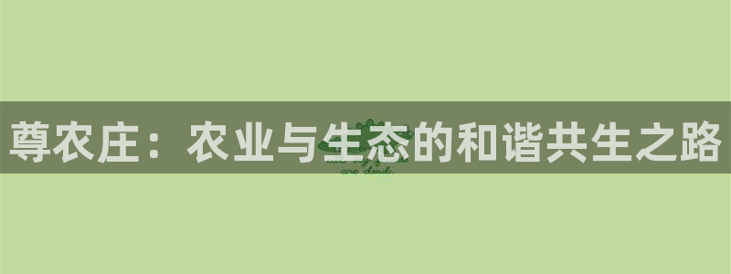 天辰娱乐小妹
