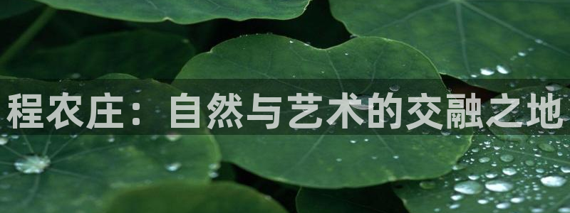 天富娱乐与天辰娱乐