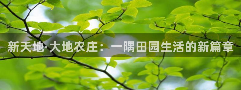 天辰娱乐新