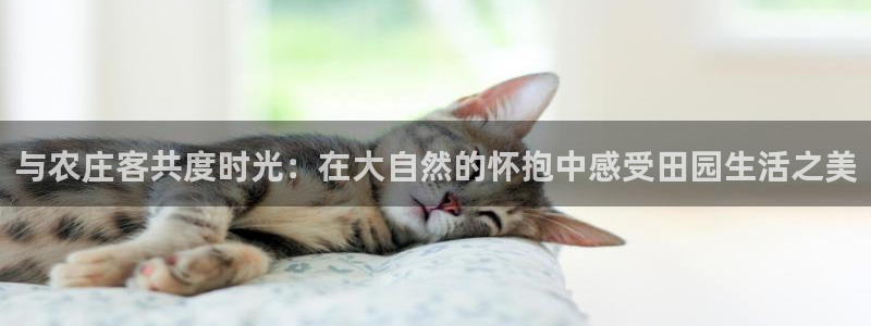天富娱乐天辰娱乐