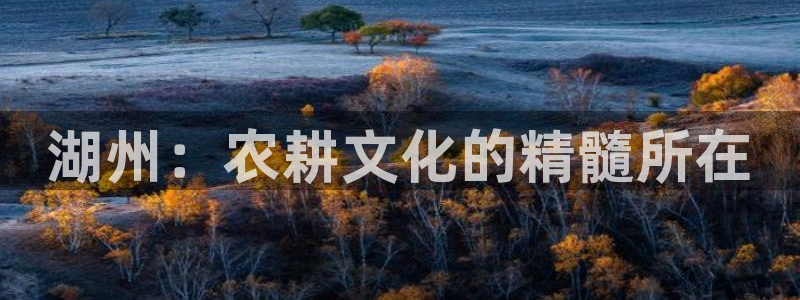 天辰娱乐老板