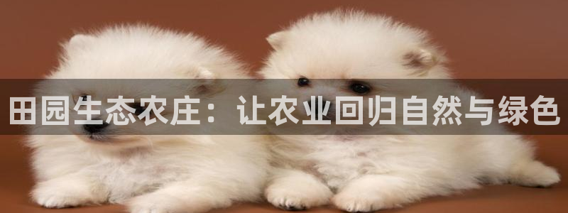 天辰娱乐平台