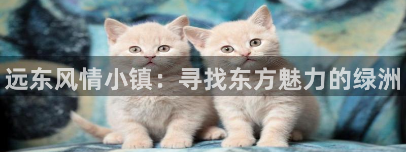 天辰娱乐指定