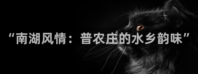 天辰娱乐公司