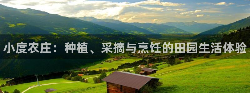 天辰娱乐平台登录账号