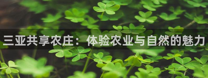 哈尔滨天辰娱乐