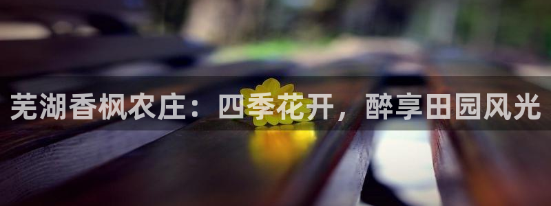 辰天娱乐用品