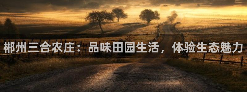 天辰娱乐-q
