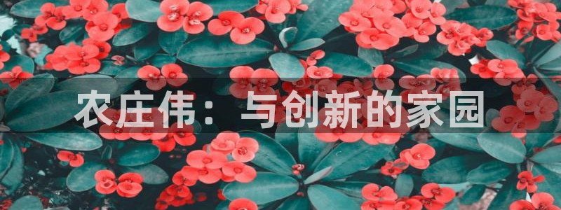 徐州天辰娱乐