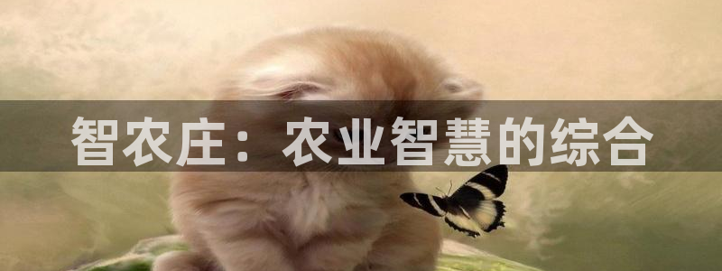 天辰娱乐解封