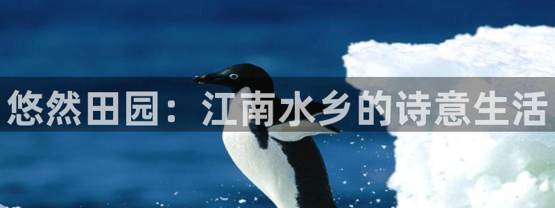 天辰娱乐电话