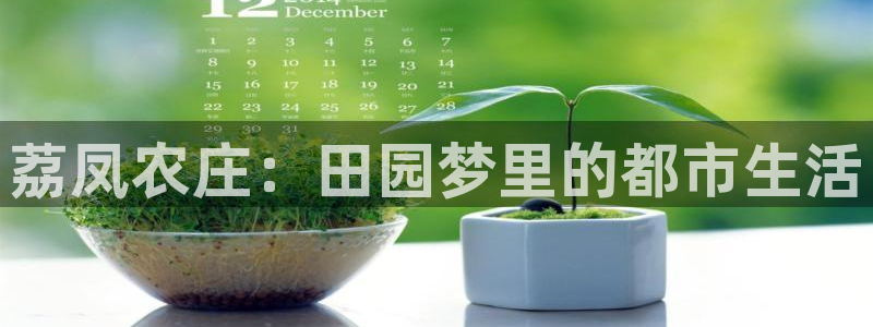 天辰娱乐 qq