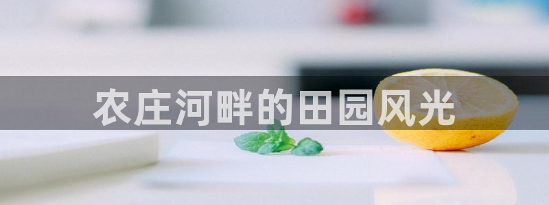 天辰娱乐平台app下载