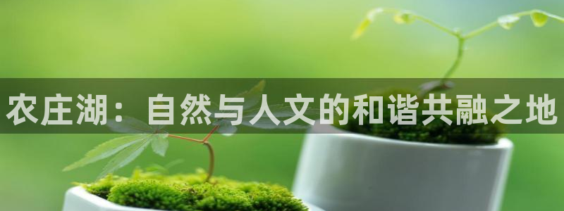 天辰娱乐网址娱乐游戏