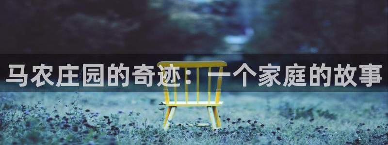 天辰娱乐总管
