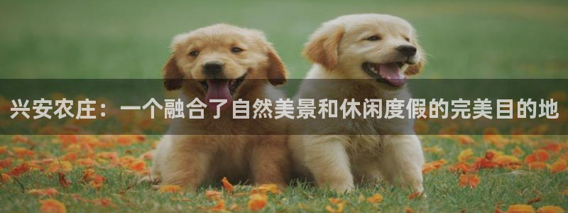 天辰娱乐待遇