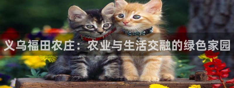 下载天辰娱乐
