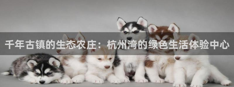 天辰登陆娱乐