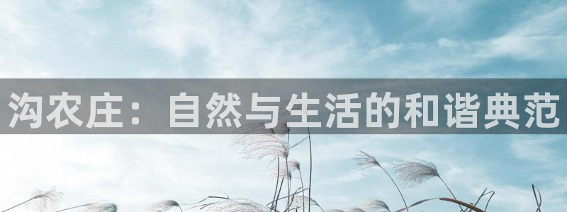 天辰娱乐信誉
