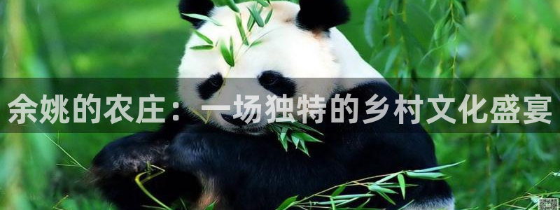 天辰娱乐海洋