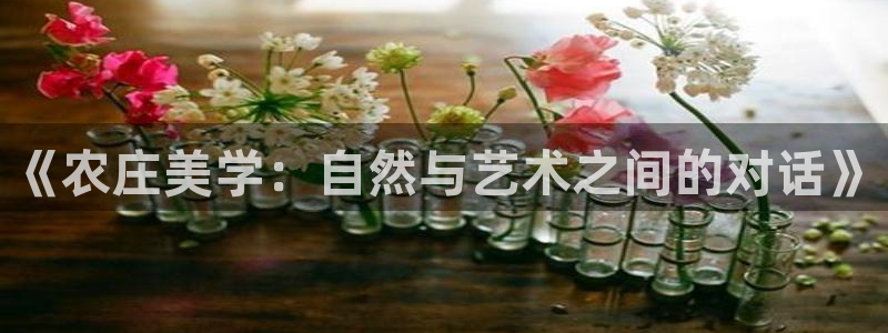 徐州天辰娱乐