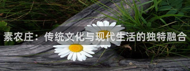 天辰娱乐557448