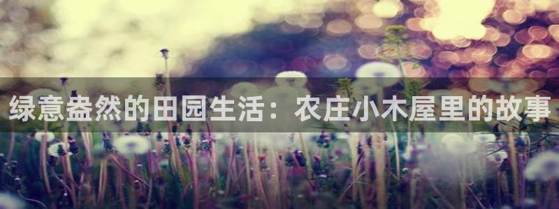 天辰娱乐885544