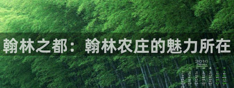 天辰娱乐注册登录