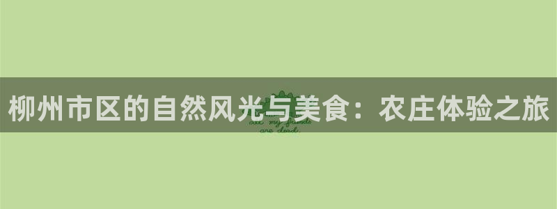 天辰娱乐输了