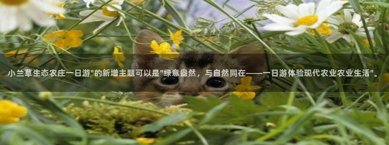 天辰娱乐台湾
