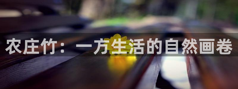 天辰娱乐新