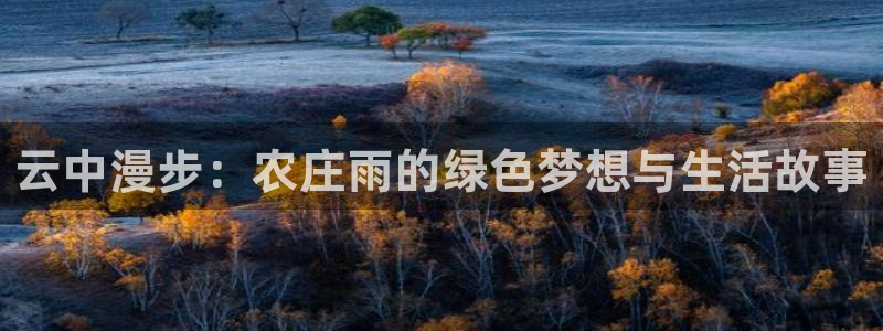 天辰娱乐卡