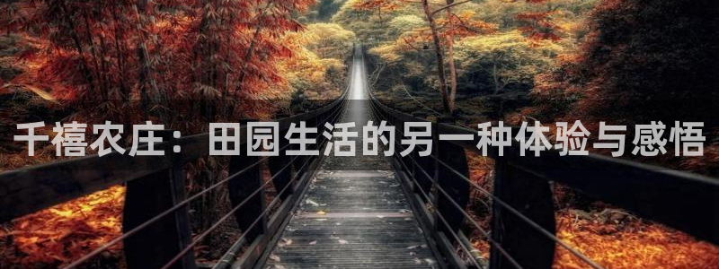 集宁天辰娱乐