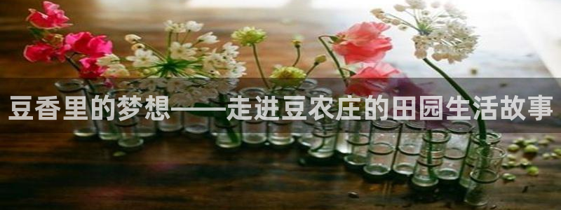 天辰娱乐官方