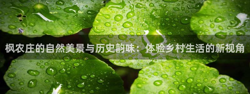 天辰娱乐分红