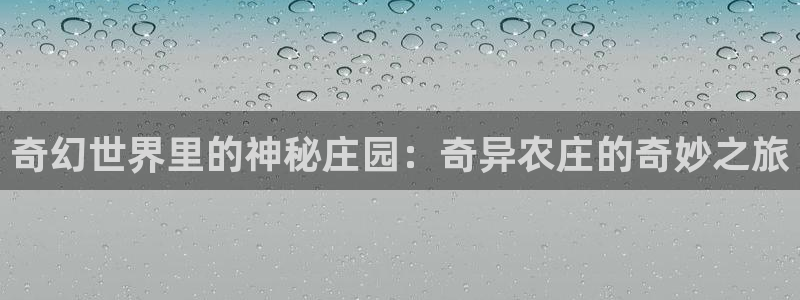 天辰娱乐跑的快