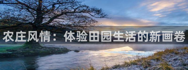 深圳天辰娱乐