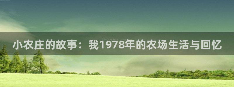 天辰娱乐所