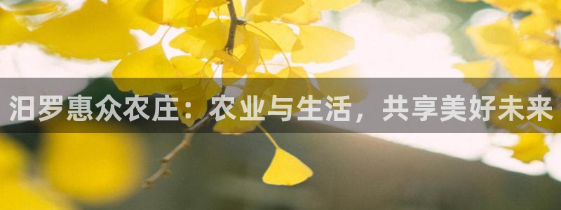 哈尔滨天辰娱乐